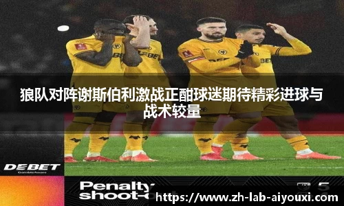 狼队对阵谢斯伯利激战正酣球迷期待精彩进球与战术较量